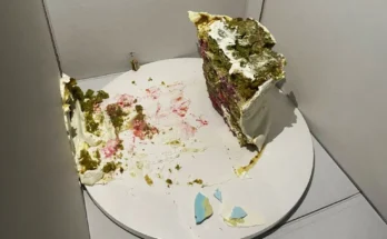 A half-eaten cake | Source: Amomama