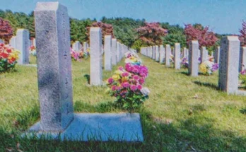 Several graves in a cemetery | Source: Shutterstock