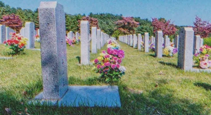 Several graves in a cemetery | Source: Shutterstock