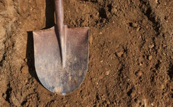 A shovel lying in dirt | Source: Shutterstock