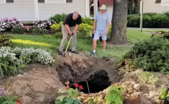 Two people digging a hole outside a house | Source: AmoMama