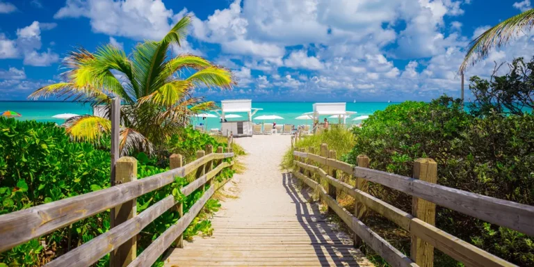 A pathway leading to a beach | Source: Shutterstock