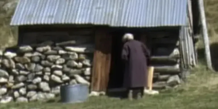 An old woman standing at a shed | Source: AmoMama