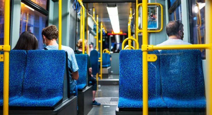 Passengers on a public bus | Source: Freepik