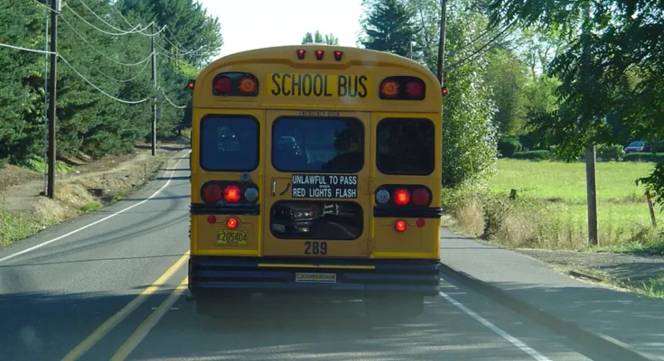 A school bus on the road | Source: Flickr.com / Flickr.com/School Has Started, School Bus (CC BY 2.0) by born1945