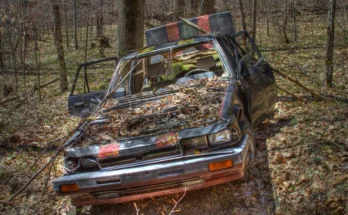 An abandoned car in a forest | Source: flickr.com/waitscm/CC BY 2.0