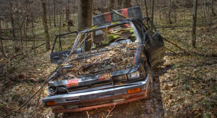 An abandoned car in a forest | Source: flickr.com/waitscm/CC BY 2.0