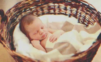 A baby in a basket | Source: Shutterstock