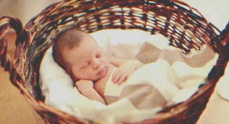 A baby in a basket | Source: Shutterstock