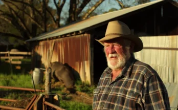 Old man on a farm | Source: Midjourney