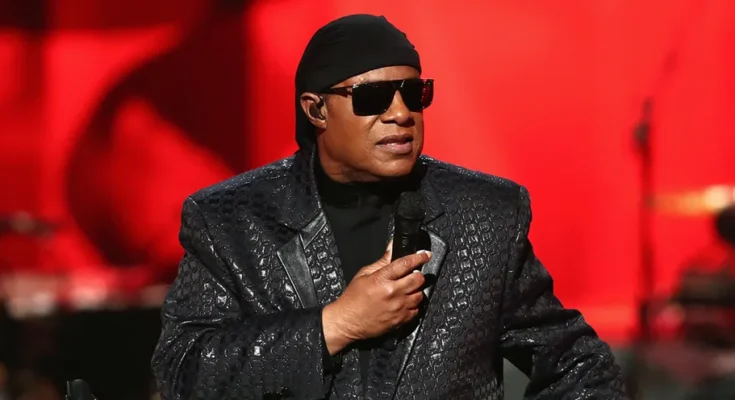 Stevie Wonder | Source: Getty Images