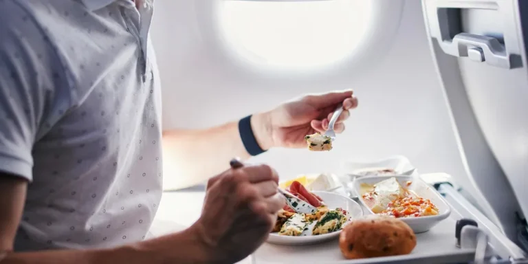 Airplane food | Source: Shutterstock