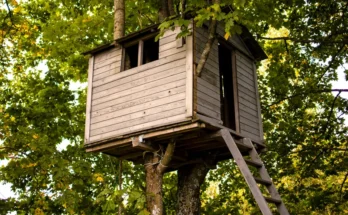 A treehouse | Source: Shutterstock