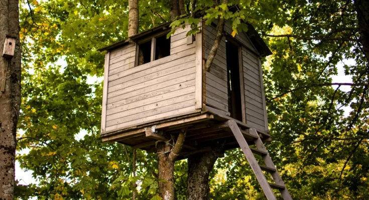 A treehouse | Source: Shutterstock