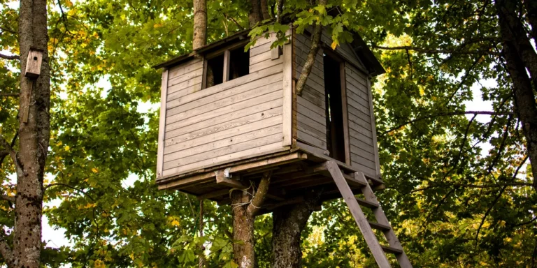 A treehouse | Source: Shutterstock