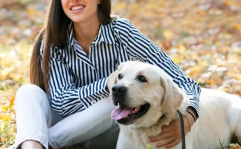 A woman with a Labrador dog | Source: Freepik.com