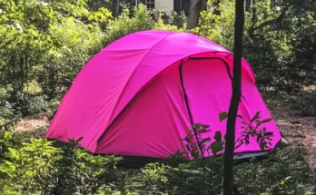 A hot pink tent | Source: Amomama