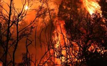 Wildfire in Santa Cruz County | Source: Getty Images