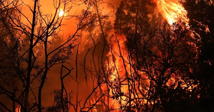 Wildfire in Santa Cruz County | Source: Getty Images