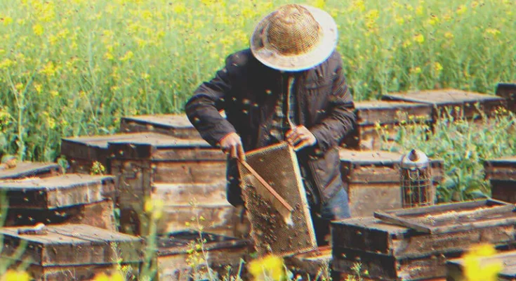 I Was Upset That My Grandfather Only Left Me an Old Apiary until I Looked into the Beehives — Story of the Day