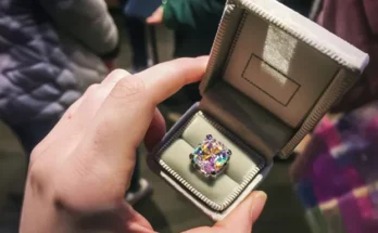 A person holding a ring in a velvet box | Source: AmoMama