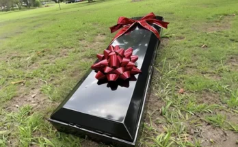 A coffin with a bow | Source: Amomama