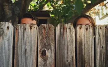 Neighbours peering over a fence | Source: Midjourney