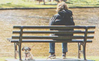 A woman sitting on a bench holding the leash of a dog | Source: Shutterstock