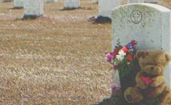 A teddy bear and some flowers next to a grave | Source: Shutterstock