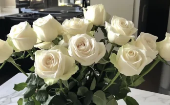 A bouquet of white roses on a kitchen countertop | Source: AmoMama