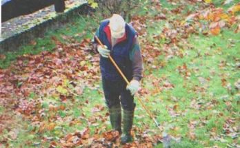 An old man cleaning a garden | Source: Shutterstock