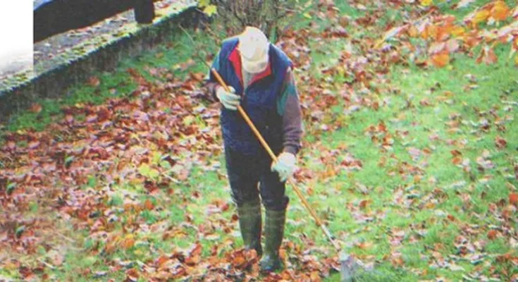 An old man cleaning a garden | Source: Shutterstock