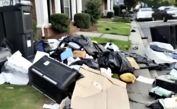 A front yard covered with boxes and trash bags | Source: Amomama