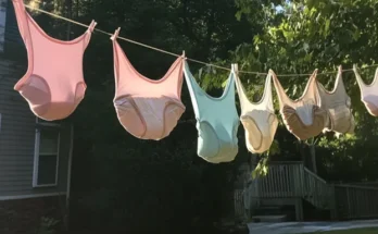 A colorful assortment of panties hung to dry on a clothesline | Source: AmoMama