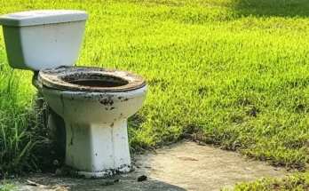 A dirty, old toilet installed on the lawn | Source: AmoMama