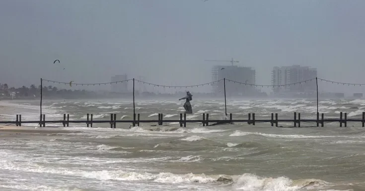 Rough waves | Source: Getty Images