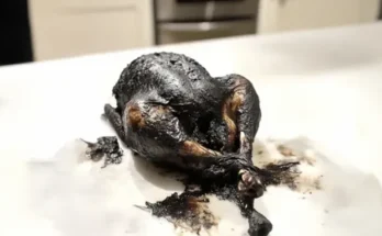 A burnt turkey on a table | Source: AmoMama