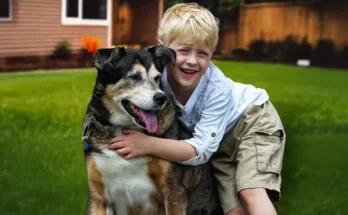 A boy and his dog | Source: Shutterstock