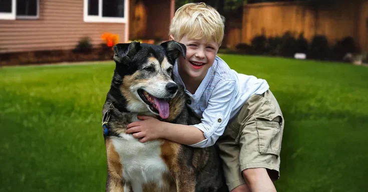 A boy and his dog | Source: Shutterstock