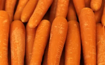 Organic carrots | Source: Getty Images