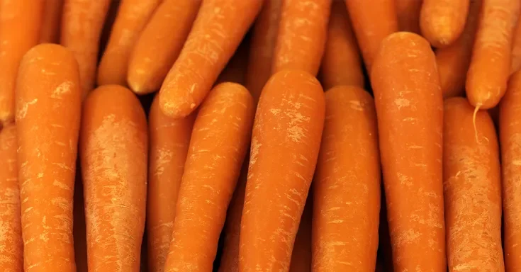 Organic carrots | Source: Getty Images