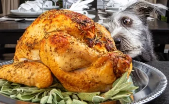 A dog sniffing a turkey | Source: Shutterstock