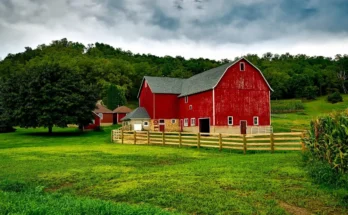 A farmhouse in the fields | Source: Pexels