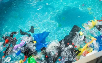 A pool with trash in it | Source: Shutterstock