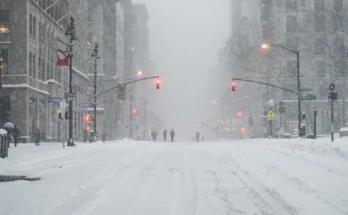 A blizzard | Source: Shutterstock