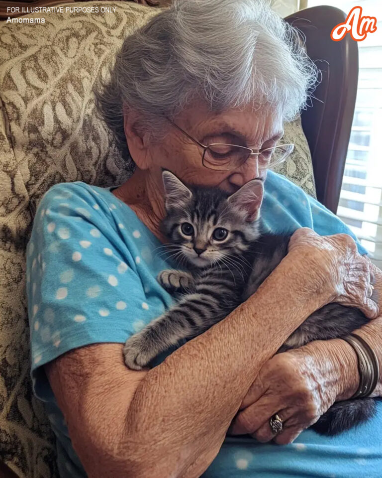 An old woman hugs a kitty.