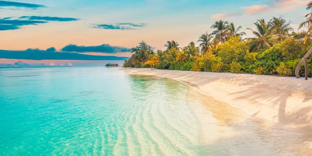 A pristine beach | Source: Shutterstock