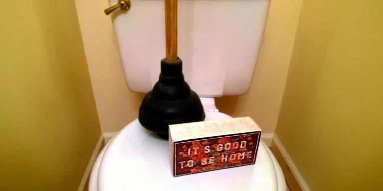 A toilet plunger lying on a toilet seat | Source: Flickr/byzantiumbooks/CC BY 2.0