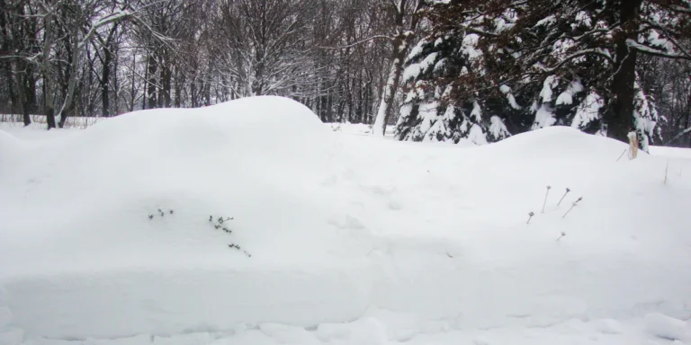 A snowy landscape | Source: Flickr / boomshackalack/CC BY 2.0