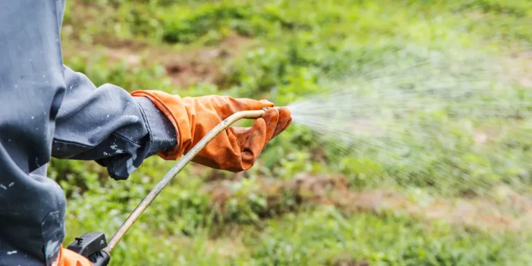 A person spraying chemicals | Source: Shutterstock